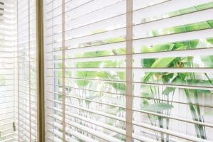 blinds window Armaq
